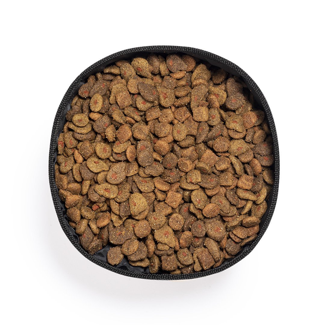 Bowl Plegable Poppy - Imagen 2