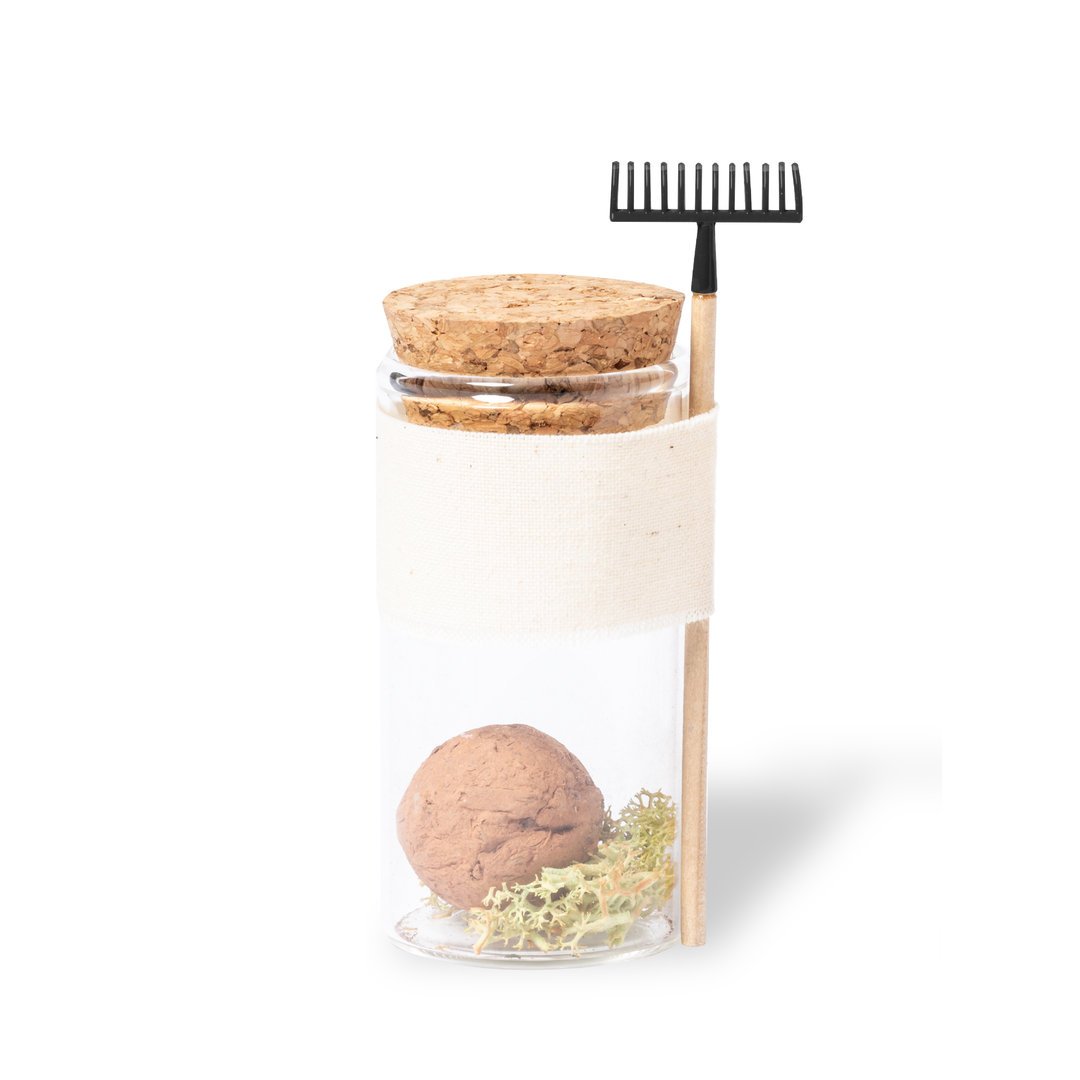 Bombón Semillas Winsu - Imagen 4