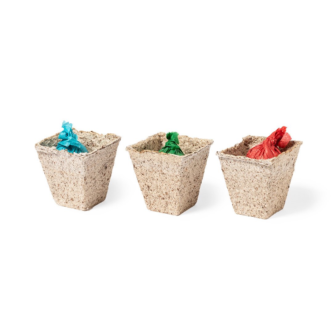 Kit Huerto Mendrax - Imagen 5