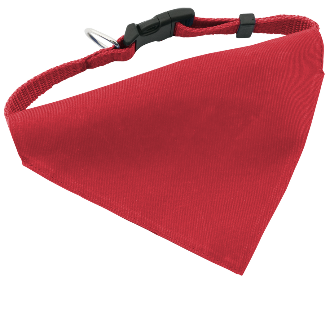 Collar Bandana Roco - Imagen 11