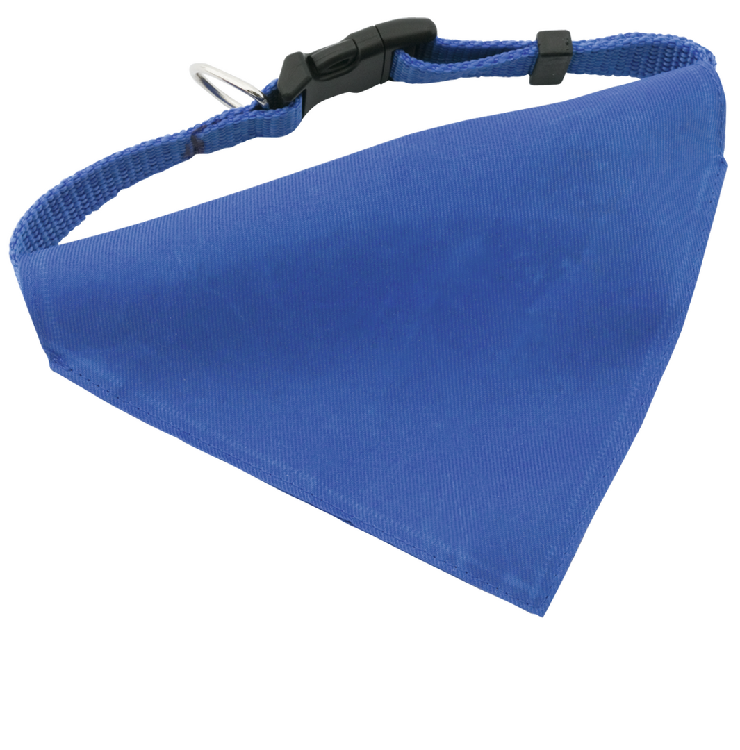 Collar Bandana Roco - Imagen 12