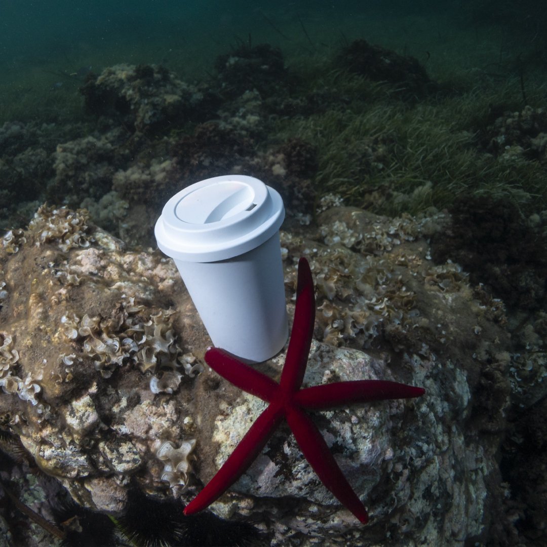 Vaso Petel - Imagen 7