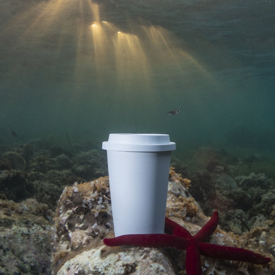 Vaso Petel - Imagen 6