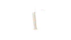 GIF 360