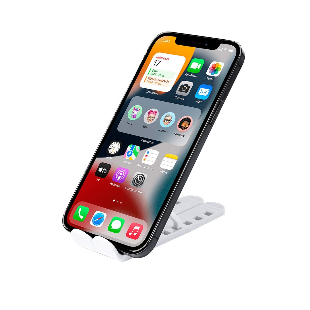 Soporte Winslu - Imagen 6